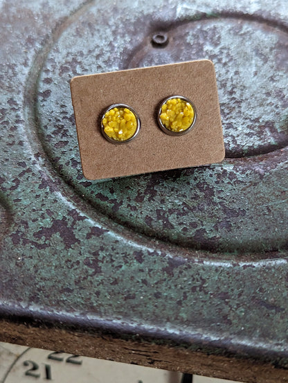 Mustard Yellow Studs